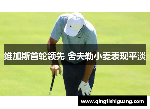 维加斯首轮领先 舍夫勒小麦表现平淡